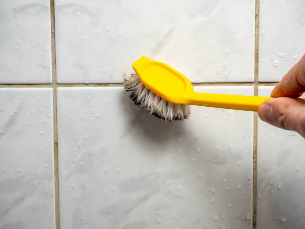 Best Black Mold Removal  in Labelle, FL