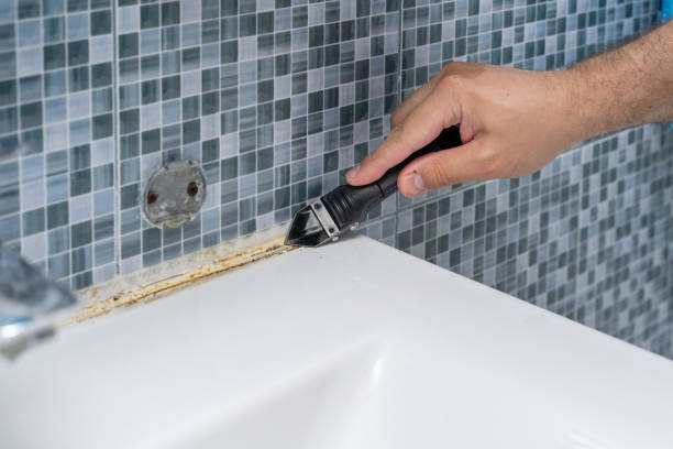 Best Fast Mold Removal  in Labelle, FL