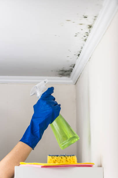 Water Damage Restoration in Labelle, FL